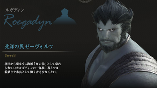 Illustration for article titled The 10 Tribes Of Final Fantasy XIV - Oh Look, Dark Elves!